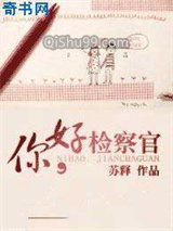 《你好，检察官》全本TXT下载-作者：苏释