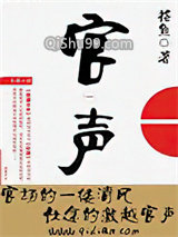 官声小说