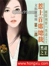 《通缉令：惹上首席总裁》全本TXT下载-作者：拓拔瑞瑞