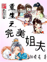重生之完美姐夫图片