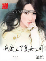 《我爱上了美女上司》全本TXT下载-作者：追忙