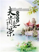 夫贵妻荣只是传说小说