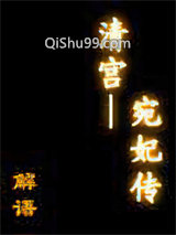 《清宫——宛妃传》全本TXT下载-作者：解语