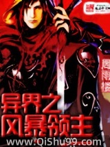 异界之风暴领主图片