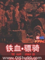 铁血骠骑小说