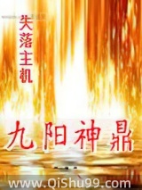 《九阳神鼎》全本TXT下载-作者：失落主机