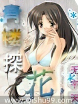 青楼探花图片