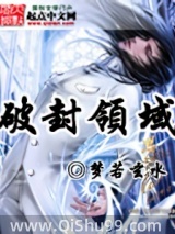 《破封领域》全本TXT下载-作者：梦若玄水