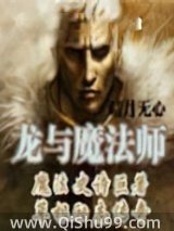 《龙与魔法师》全本TXT下载-作者：暗月无心