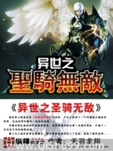 异世之圣骑无敌图片