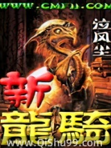 《新龙骑》全本TXT下载-作者：泣风尘
