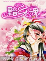 《黯乡魂》全本TXT下载-作者：张廉