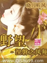 《野望－涅磐之凤翔》全本TXT下载-作者：晓月听风