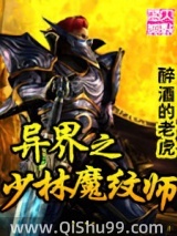 《异界之少林魔纹师》全本TXT下载-作者：醉酒的老虎