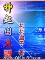 《神起国度》全本TXT下载-作者：花花扇子