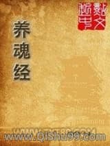 《养魂经》全本TXT下载-作者：风的样子