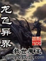 《龙飞异界》全本TXT下载-作者：救世魔王