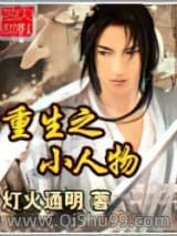 《重生之小人物》全本TXT下载-作者：灯火通明