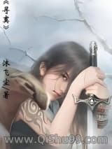 《寻寞》全本TXT下载-作者：沐飞尘