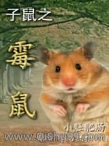 子鼠之霉鼠小说