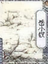 岳小钗小说