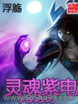《灵魂紫电》全本TXT下载-作者：浮觞