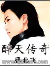 《醉天传奇》全本TXT下载-作者：雁北飞