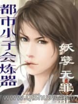 都市小子會煉器图片