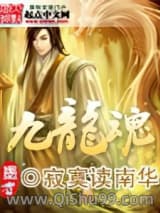 《九龙魂》全本TXT下载-作者：寂寞读南华