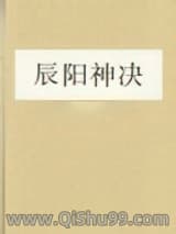 《辰阳神决》全本TXT下载-作者：踏遍轮回