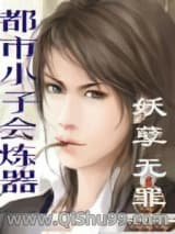 《都市小子会炼器》全本TXT下载-作者：妖孽无罪