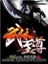 《武林至尊》全本TXT下载-作者：布衣天骄