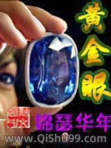《黄金眼》全本TXT下载-作者：锦瑟华年