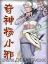 《奇侠杨小邪》全本TXT下载-作者：李凉