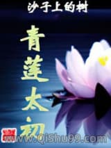 《青莲太初》全本TXT下载-作者：沙子上的树