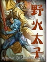 《野火太子》全本TXT下载-作者：秋梦痕
