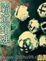 《霸道銷魂》全本TXT下载-作者：森海