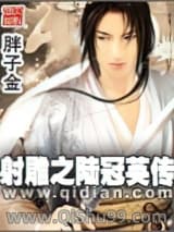 《射雕之陆冠英传》全本TXT下载-作者：胖子金