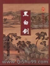 黑白剑小说