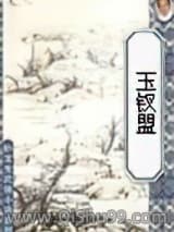 玉釵盟小说
