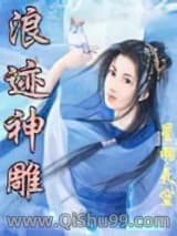 《浪迹神雕》全本TXT下载-作者：星羽天空