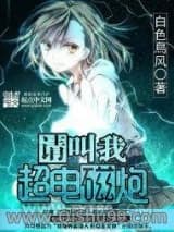 《请叫我超电磁炮》全本TXT下载-作者：白色鳥风