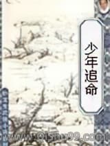 《少年追命》全本TXT下载-作者：温瑞安