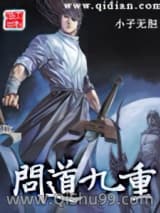 《问道九重》全本TXT下载-作者：小子无胆