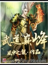 武道巅峰小说