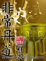非常丹道小说