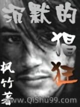 《沉默的猖狂》全本TXT下载-作者：枫竹