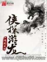 《侠探游龙》全本TXT下载-作者：江湖皮皮虾