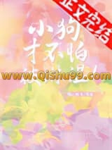 《小狗才不怕被淋湿！》全本TXT下载-作者：糖心柿子