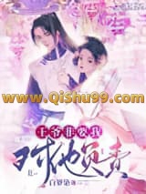 《王爷非要我对他负责》全本TXT下载-作者：白箩染
